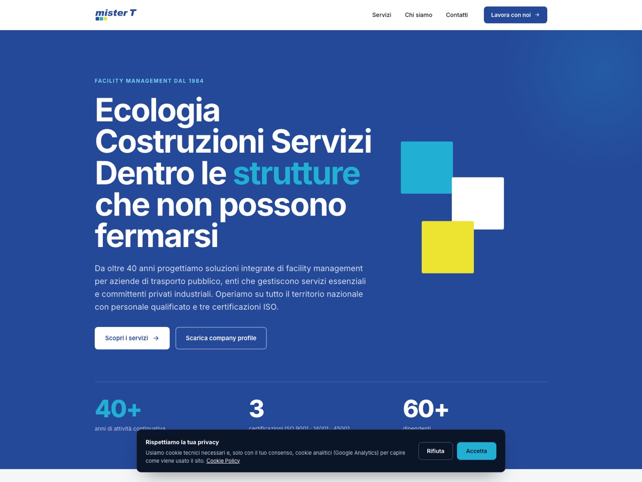 Mister T website, homepage